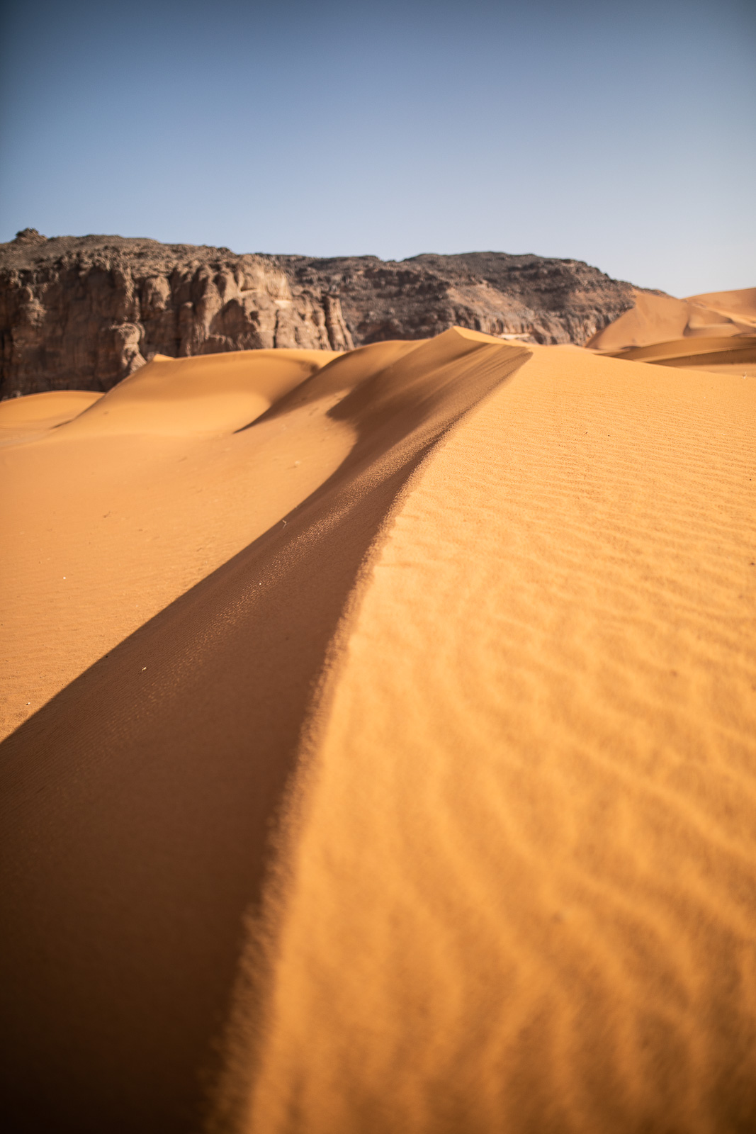 Human & Nature  outoftime 71